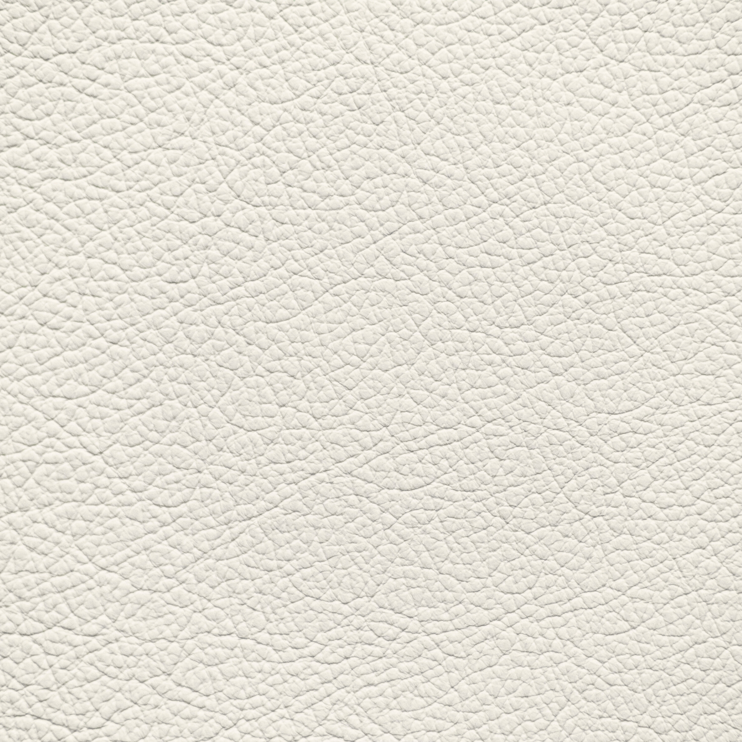 Nissan Gallery White Leather Dye