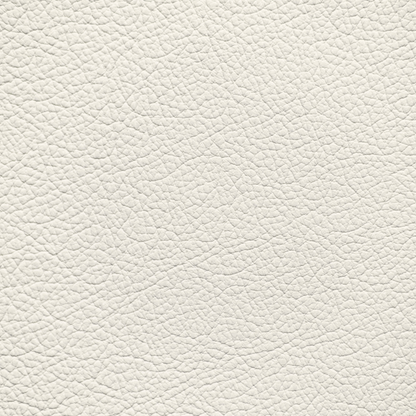 Nissan Gallery White Leather Dye