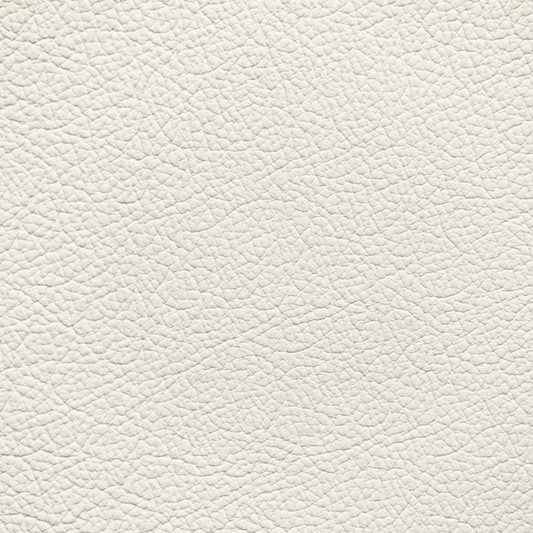 Nissan Gallery White Leather Dye