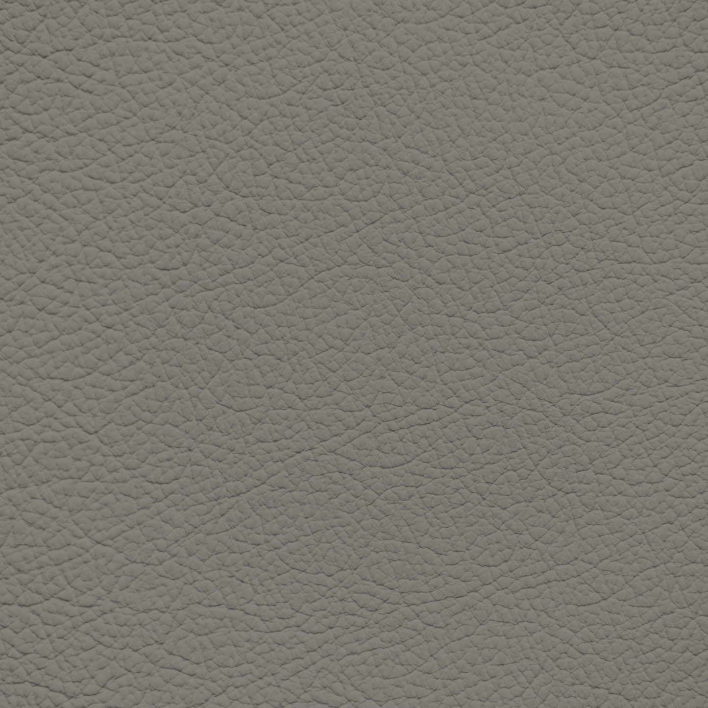 GM Gideon Gray Leather Dye