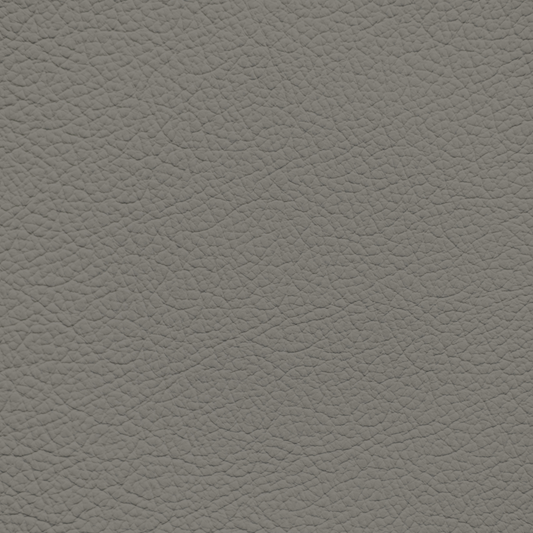 GM Gideon Gray Leather Dye