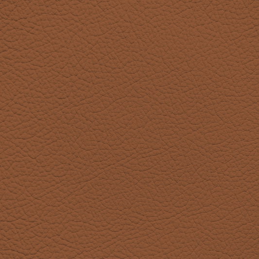 Ford/Lincoln/Mercury Ginger Leather Dye