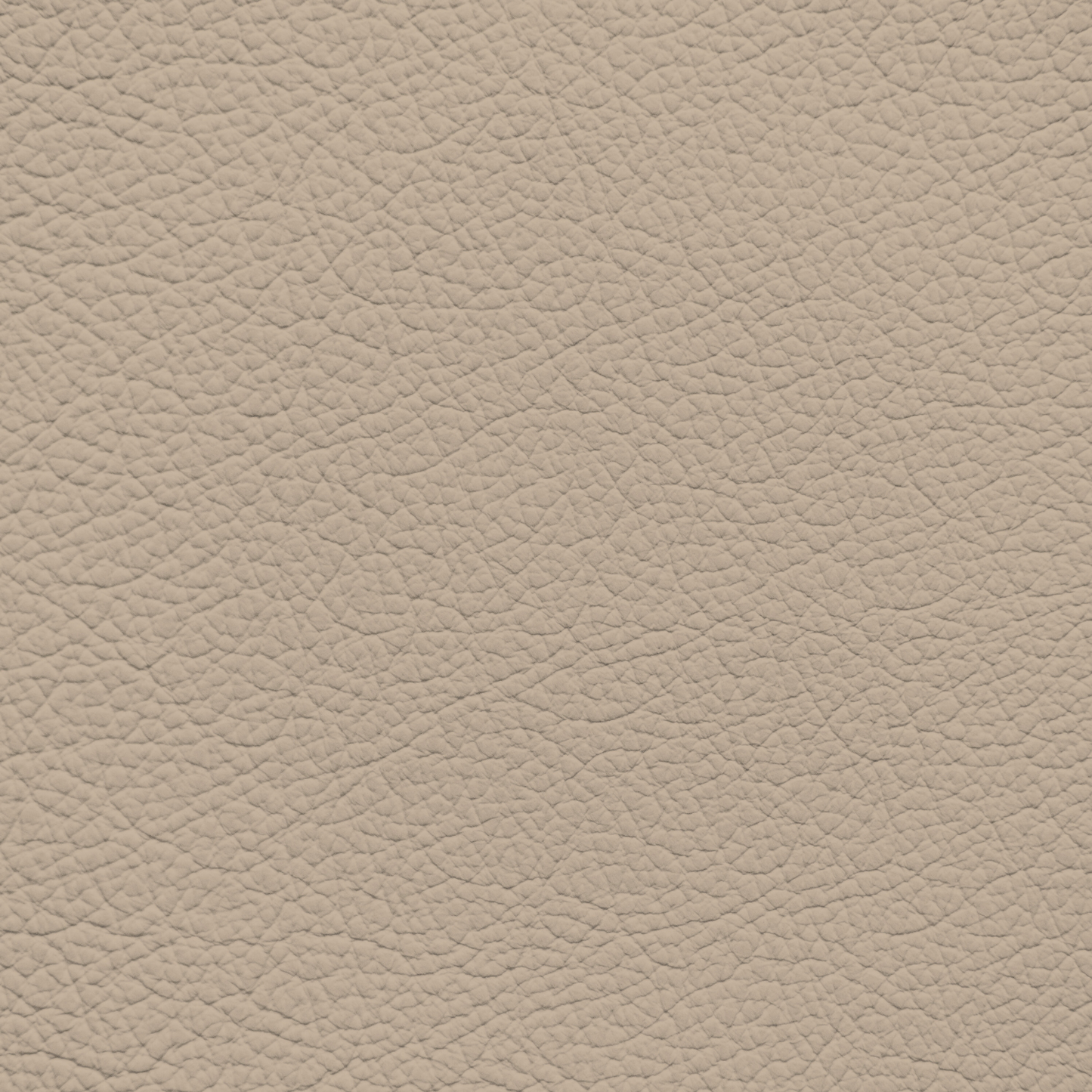 Mercedes Ginger Beige Leather Dye