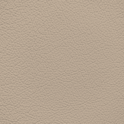 Mercedes Ginger Beige Leather Dye