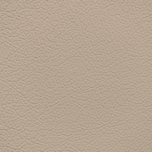 Mercedes Ginger Beige Leather Dye