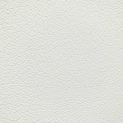 Hyundai Glacier White Leather Dye