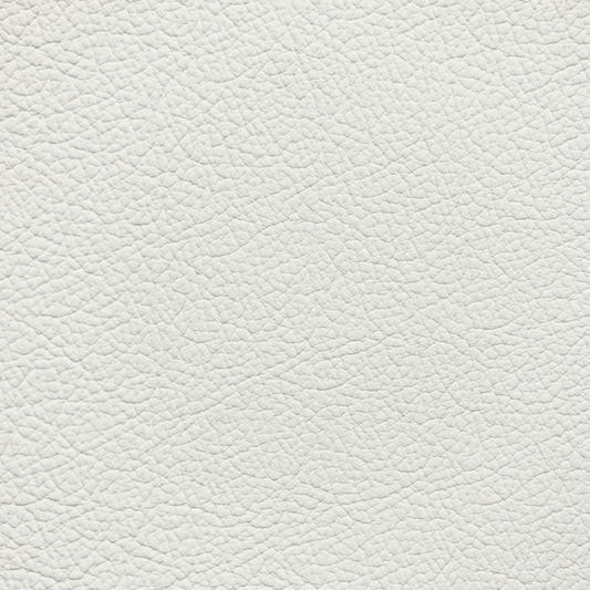 Hyundai Glacier White Leather Dye