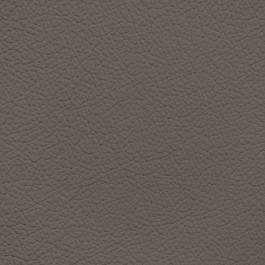 Ford/Lincoln/Mercury Granite Leather Dye