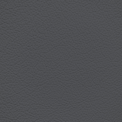 Porsche Graphite Leather Dye