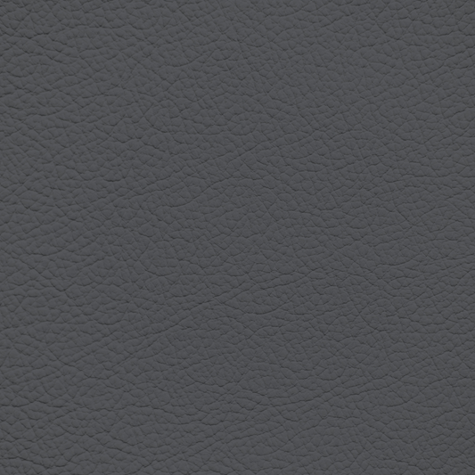 Porsche Graphite Leather Dye