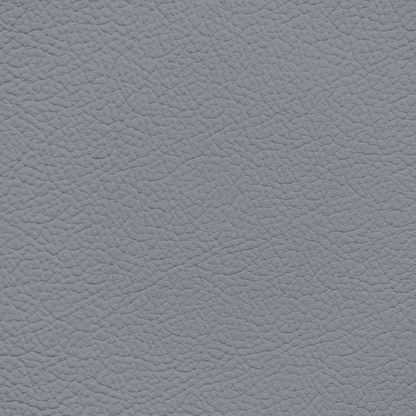 Toyota Graphite Leather Dye