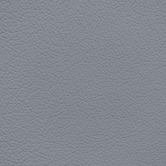 Toyota Graphite Leather Dye