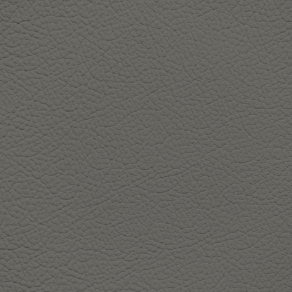 Porsche Graphite Grey Leather Dye