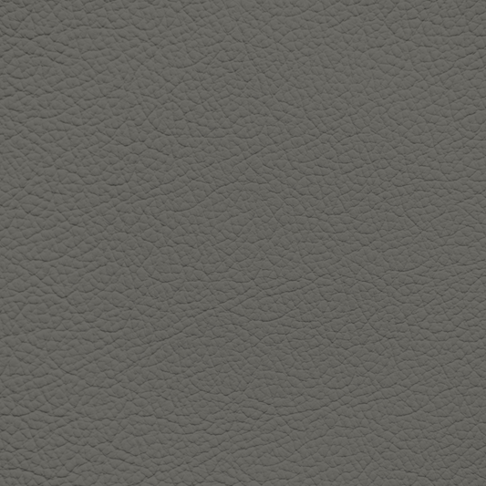Porsche Graphite Grey Leather Dye