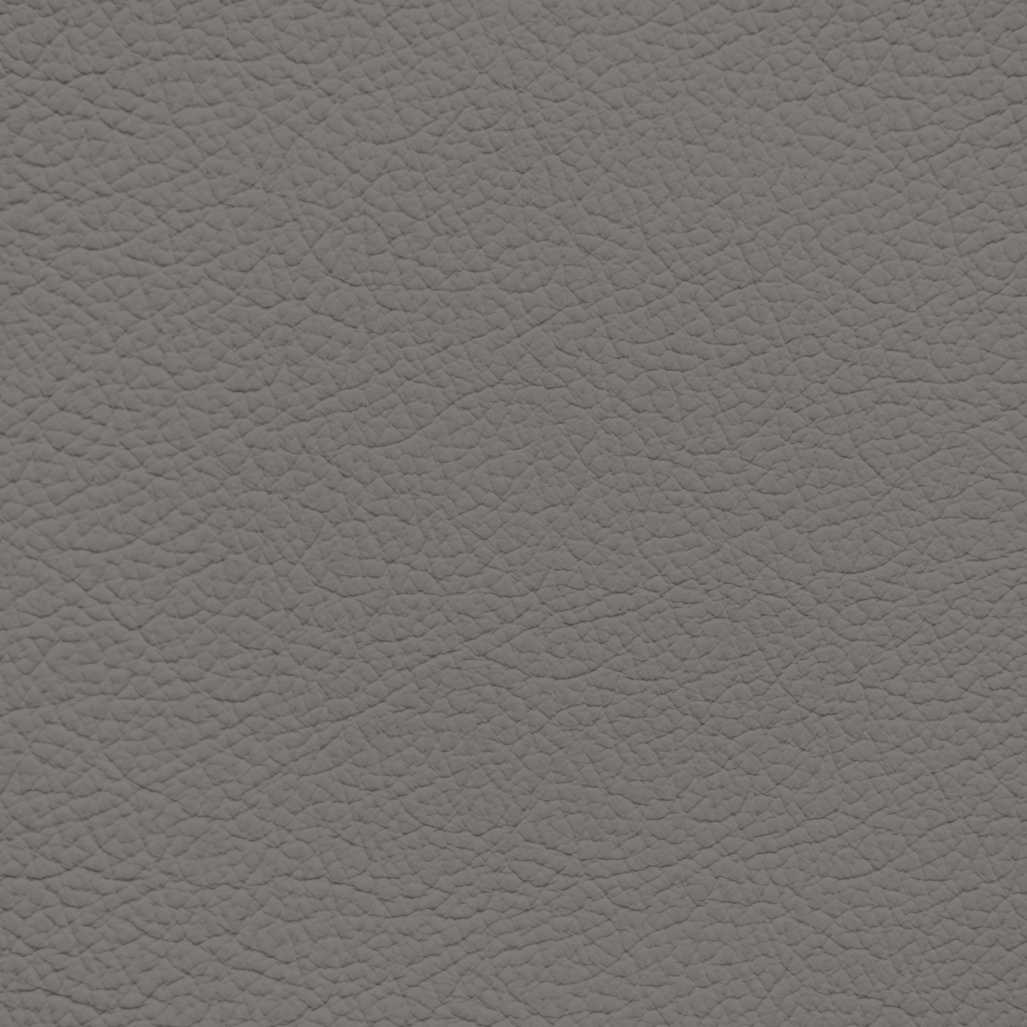 Mercedes Gray Leather Dye
