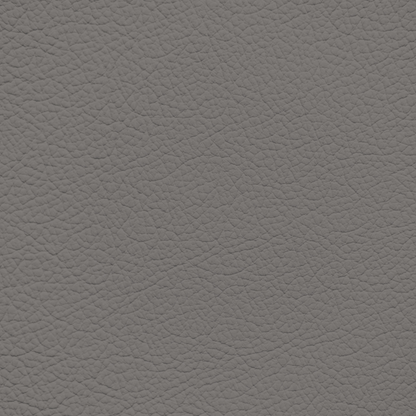 Mercedes Gray Leather Dye