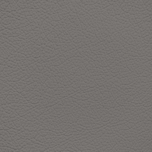 Mercedes Gray Leather Dye