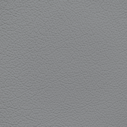 Infiniti Gray Leather Dye