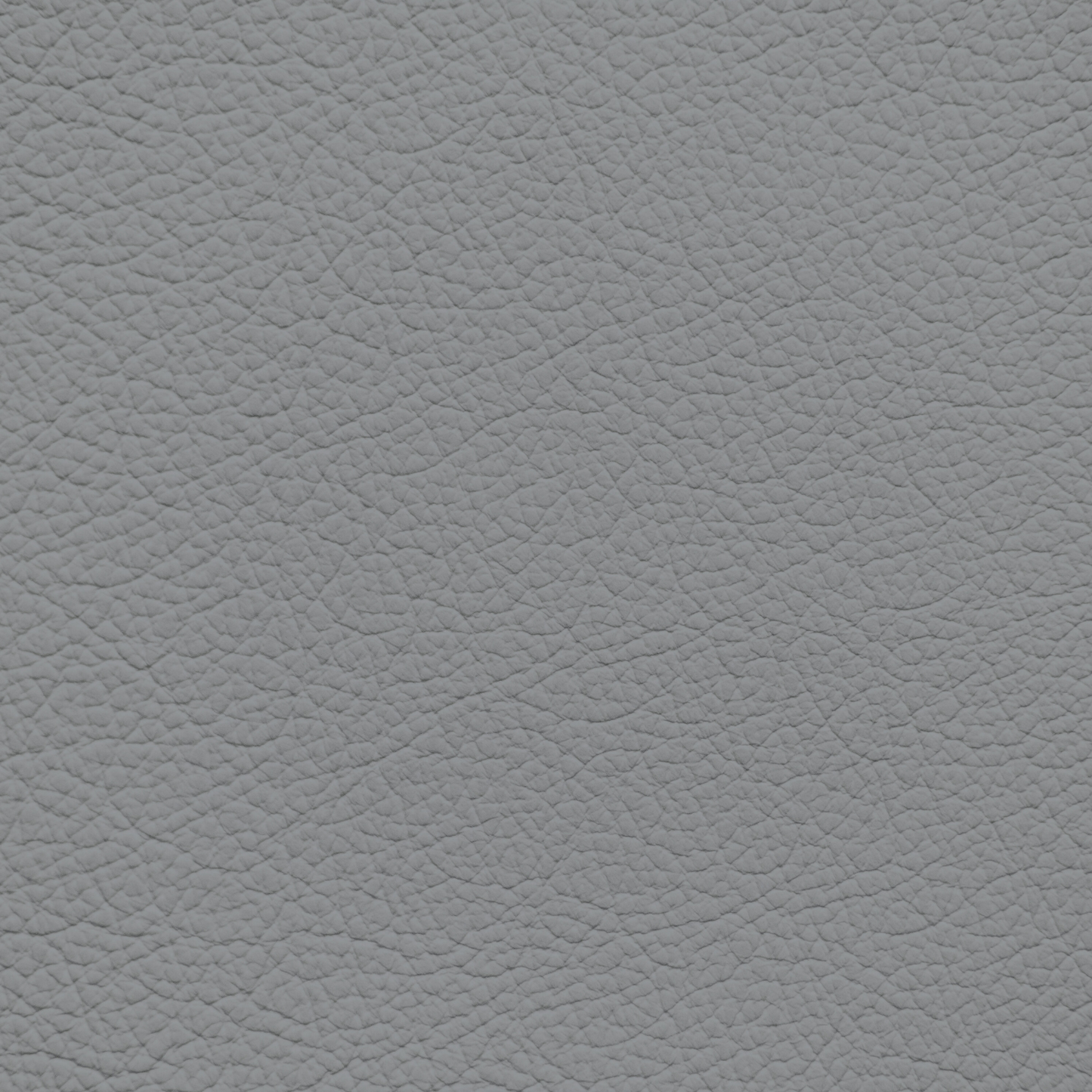 Nissan Gray Leather Dye