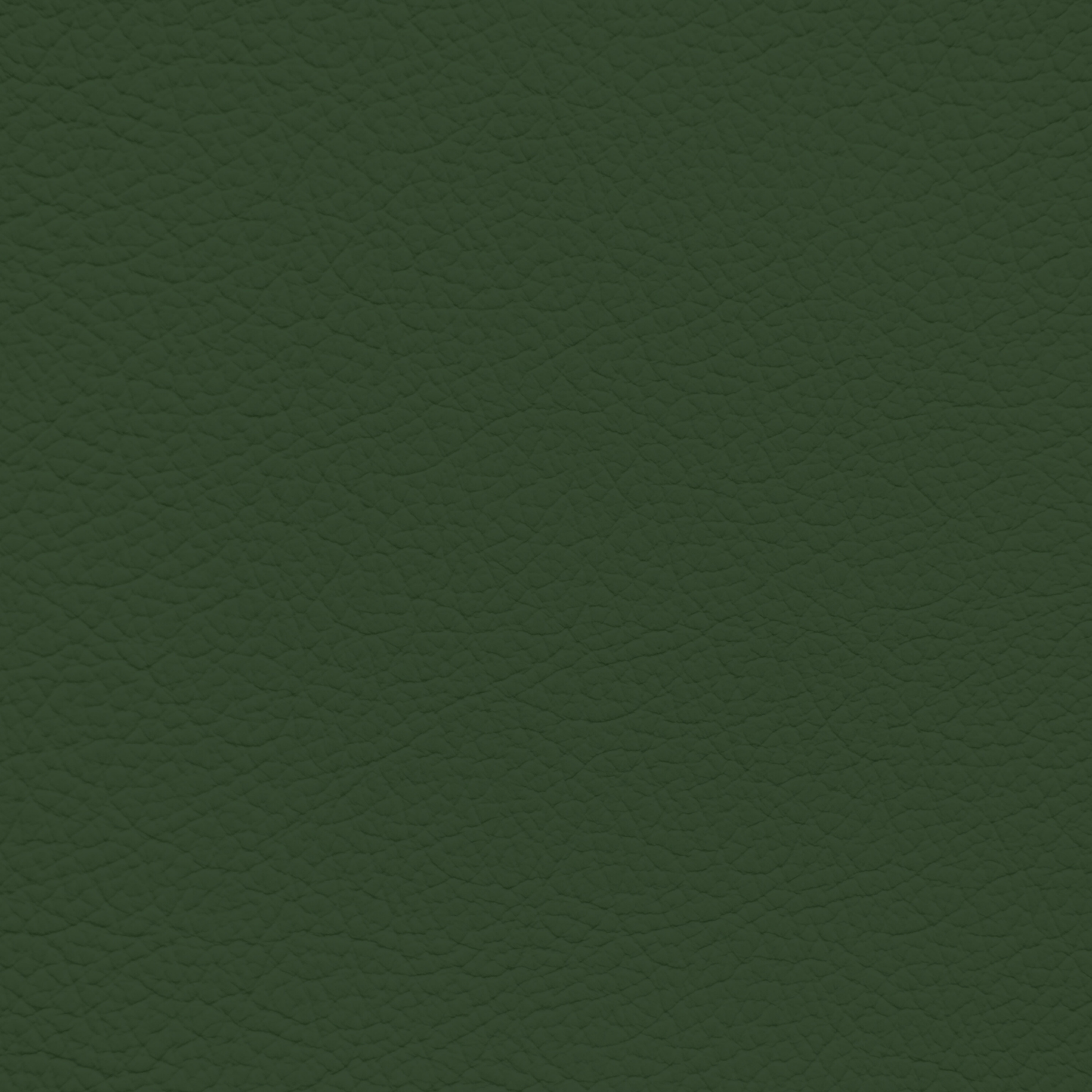 Mercedes Green Leather Dye