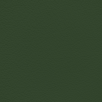 Mercedes Green Leather Dye