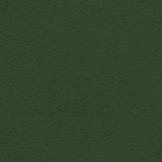 Mercedes Green Leather Dye