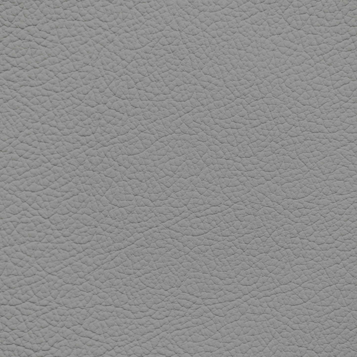 Jaguar Grey Leather Dye