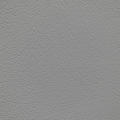 Jaguar Grey Leather Dye