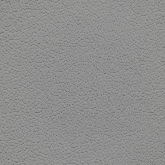 Jaguar Grey Leather Dye