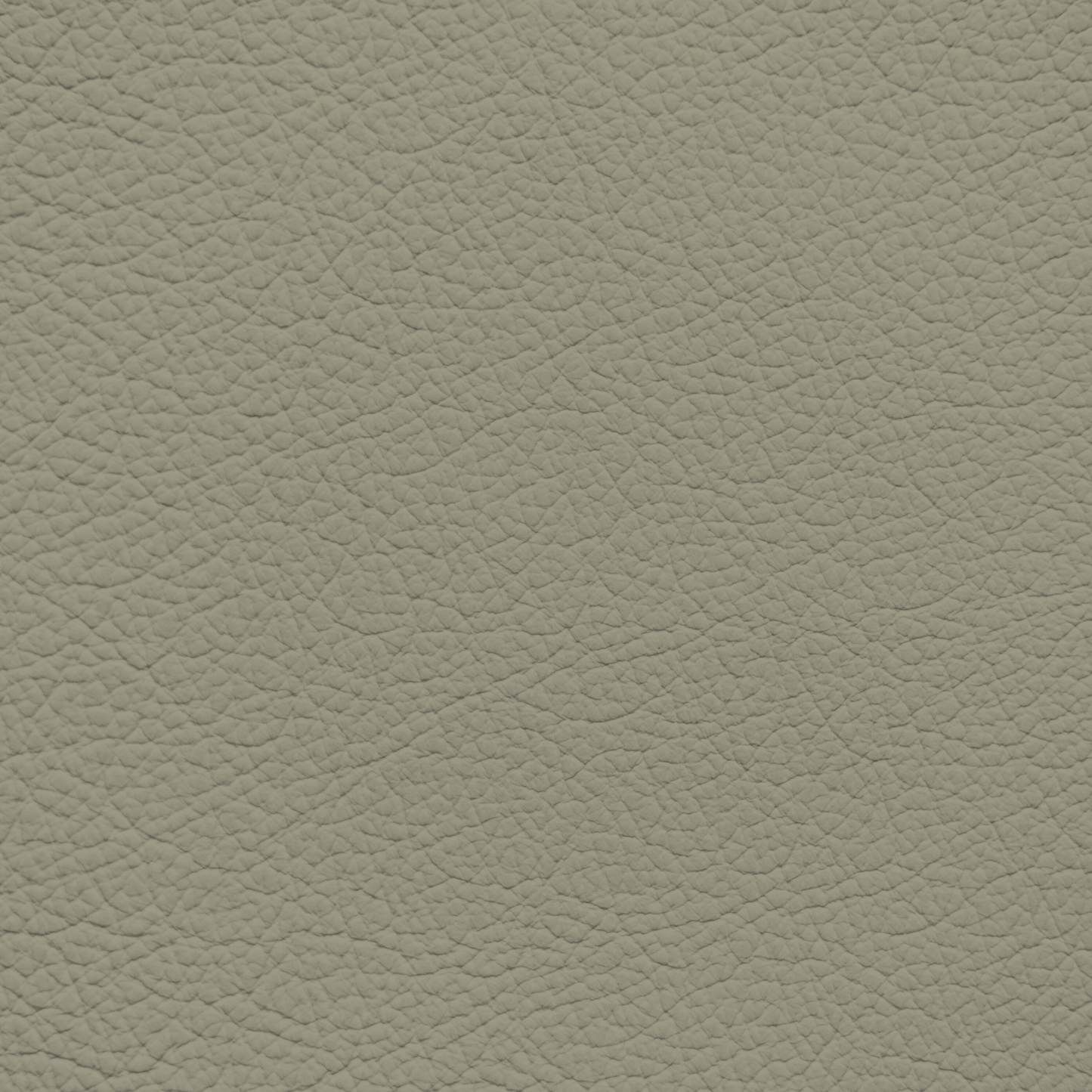Jaguar Grey Beige Leather Dye