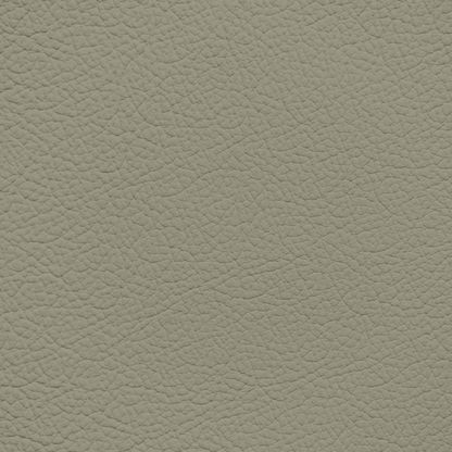 Jaguar Grey Beige Leather Dye