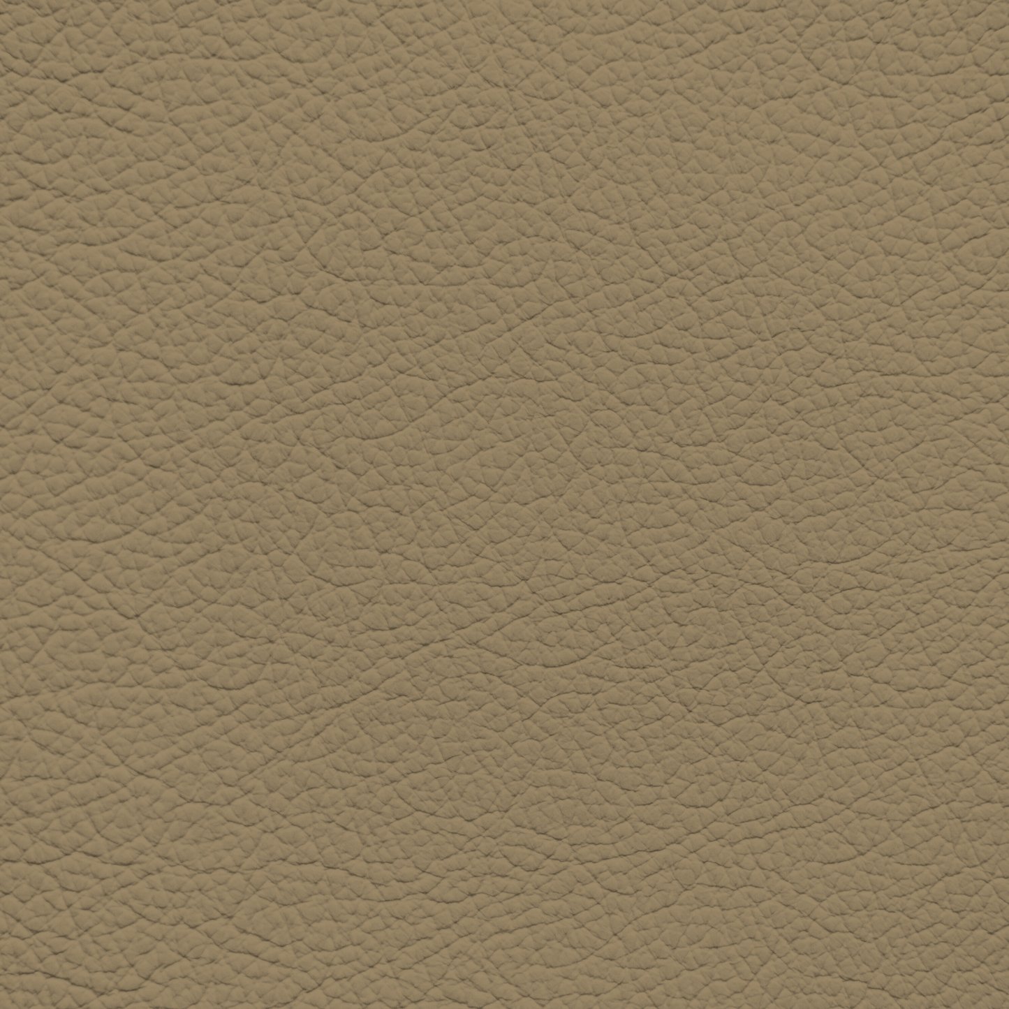 Porsche Grey Beige Leather Dye