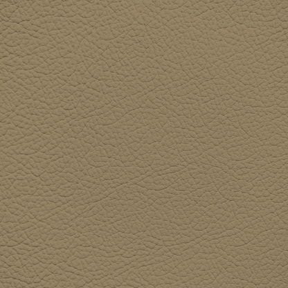 Porsche Grey Beige Leather Dye