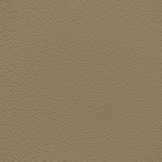 Porsche Grey Beige Leather Dye