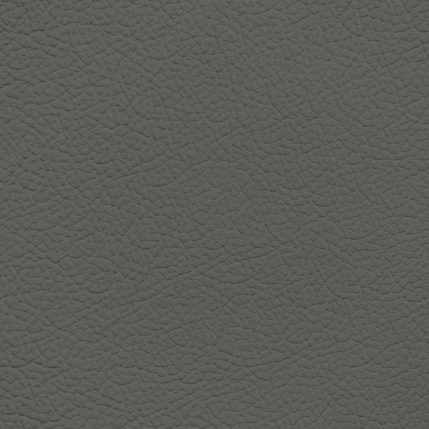 Porsche Grey Green Leather Dye