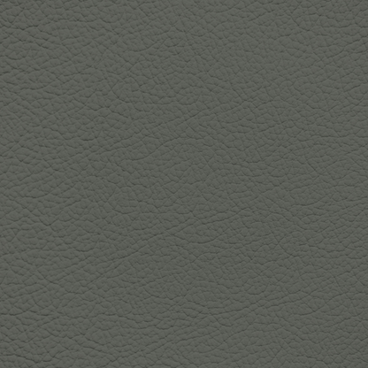 Porsche Grey Green Leather Dye