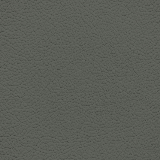Porsche Grey Green Leather Dye