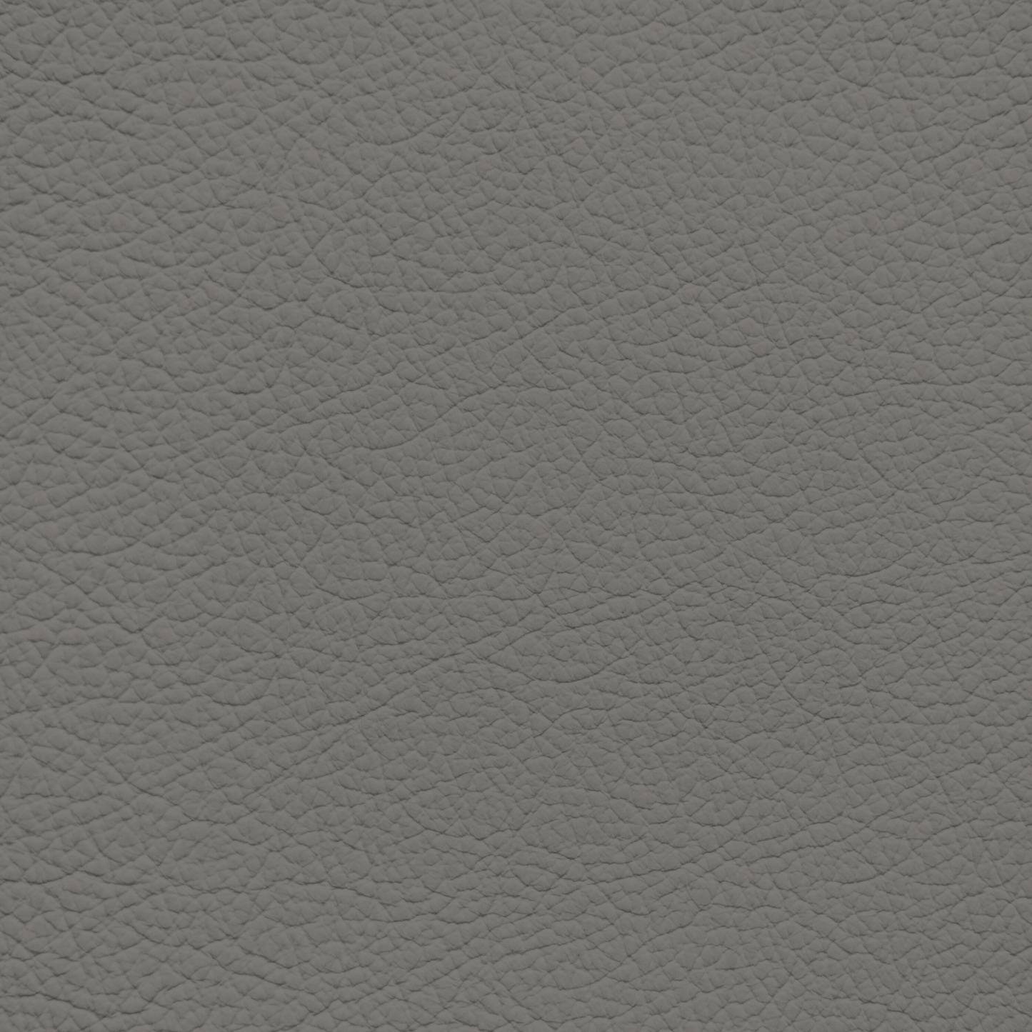 Mercedes Gunmetal Leather Dye