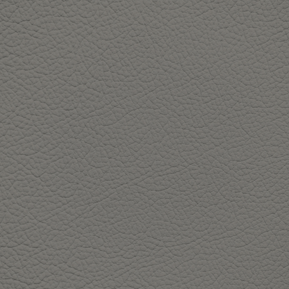 Mercedes Gunmetal Leather Dye
