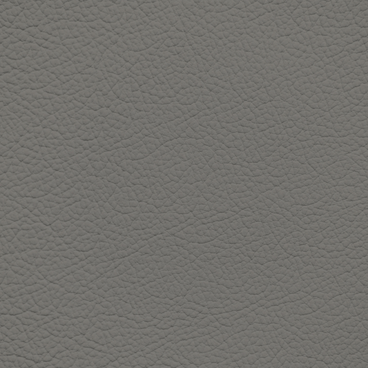 Mercedes Gunmetal Leather Dye