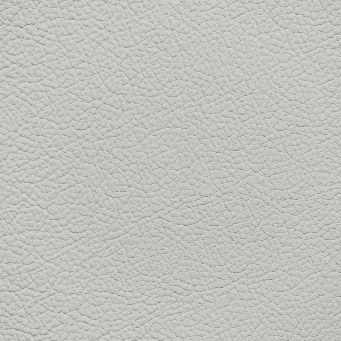 Mercedes Hail Gray Leather Dye