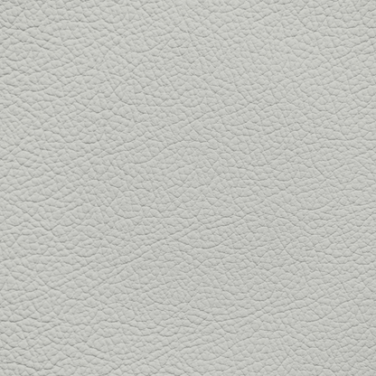 Mercedes Hail Gray Leather Dye