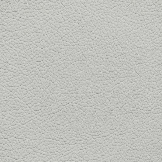 Mercedes Hail Gray Leather Dye