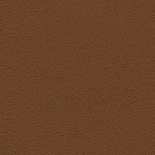 Porsche Havana Leather Dye