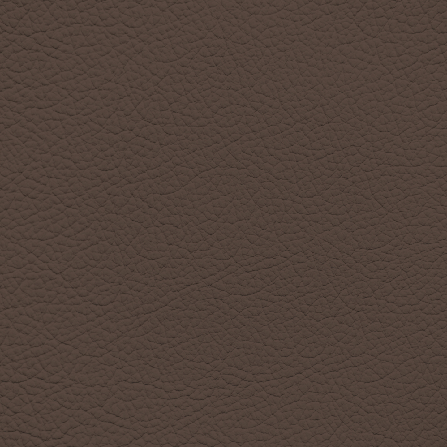 Ford/Lincoln/Mercury Hazelnut Leather Dye
