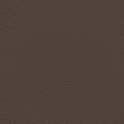 Ford/Lincoln/Mercury Hazelnut Leather Dye