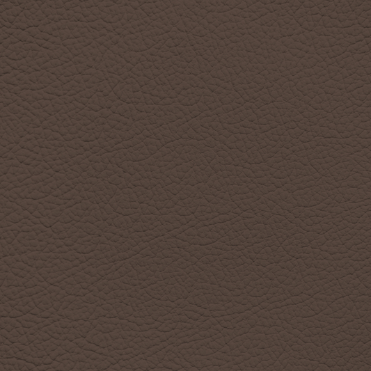 Ford/Lincoln/Mercury Hazelnut Leather Dye