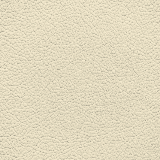Mercedes Helios Leather Dye