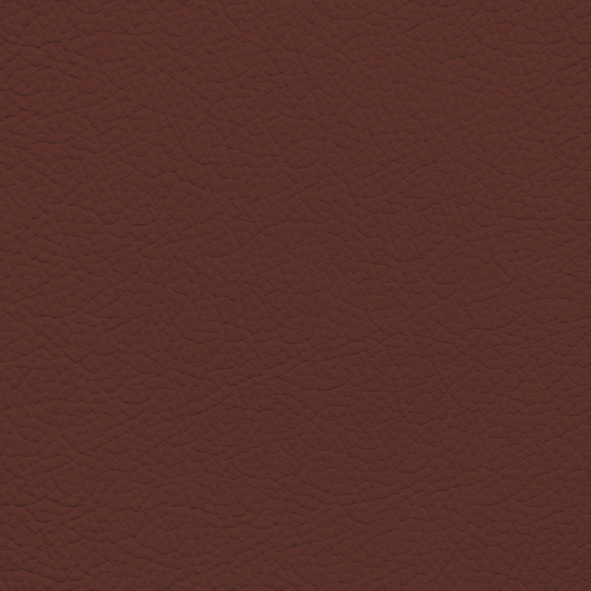 Mercedes Henna Red Leather Dye