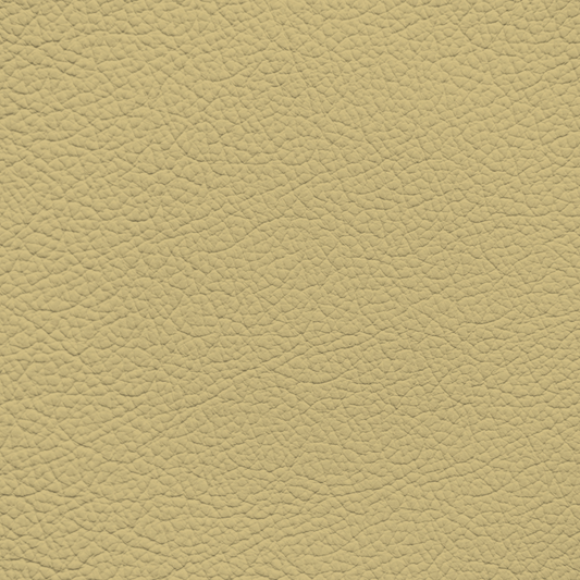 Chrysler/Dodge/Jeep/Plymouth Heritage Tan Leather Dye